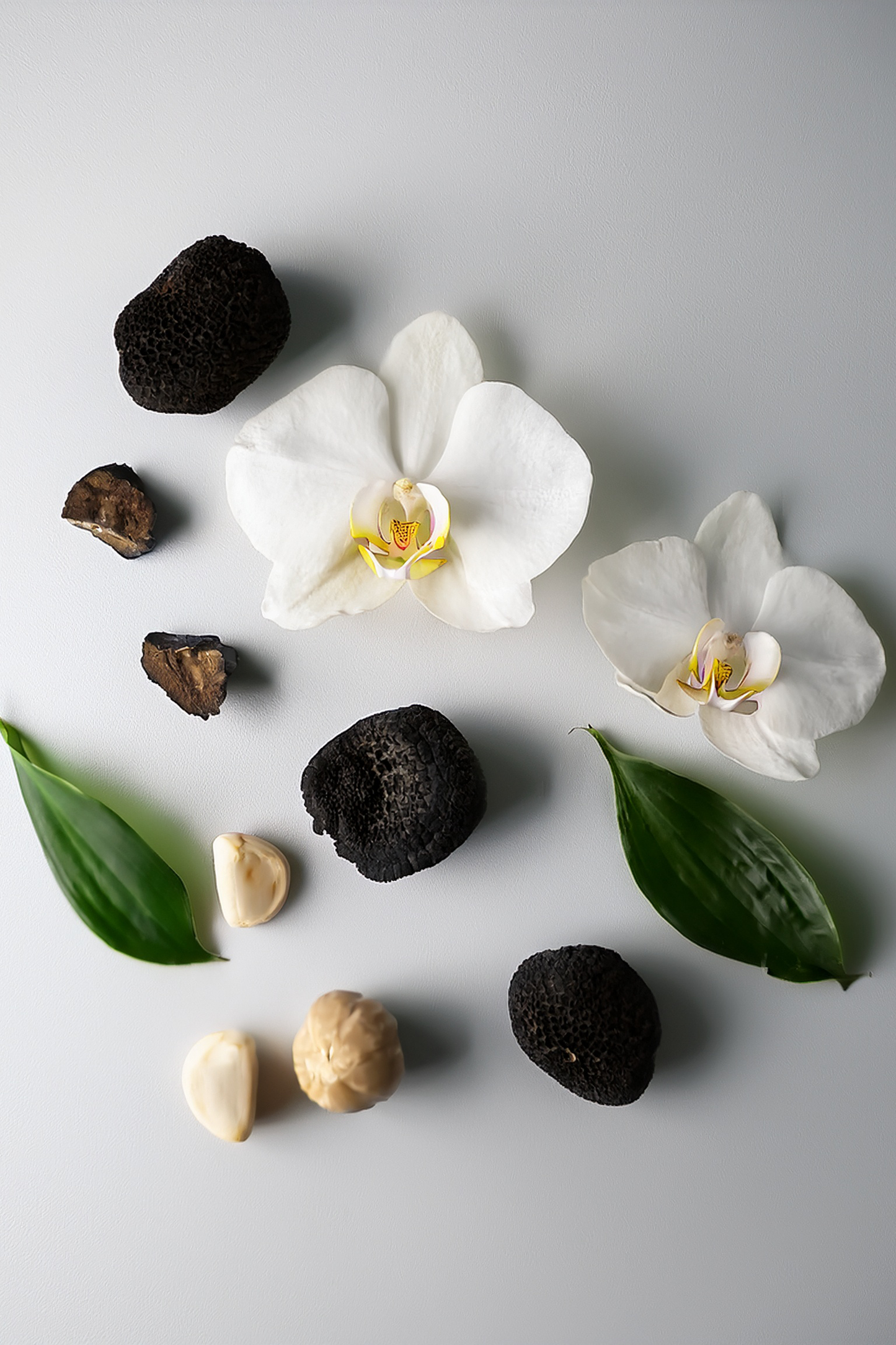 (N° 5 - Pour Tous) Inspirado en "Black Orchid - Tom Ford"